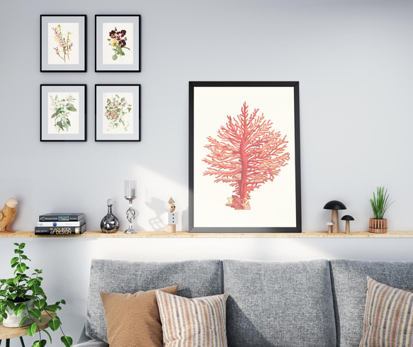 【NO.48】赤珊瑚インテリアアートポスター☆コーラル海の生き物マリンヴィンテージレトロ夏★ハガキ2LA4A3A2A1 10枚目の画像