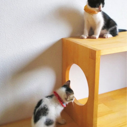 DIYユニットボックス（D）ねこ穴対応　猫家具　キャットタワー 3枚目の画像
