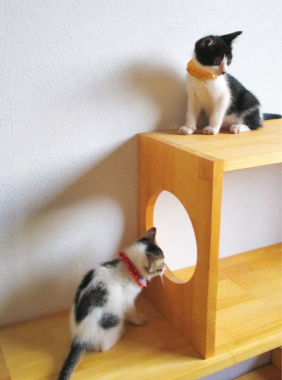 DIYユニットボックス（D）ねこ穴対応　猫家具　キャットタワー 3枚目の画像