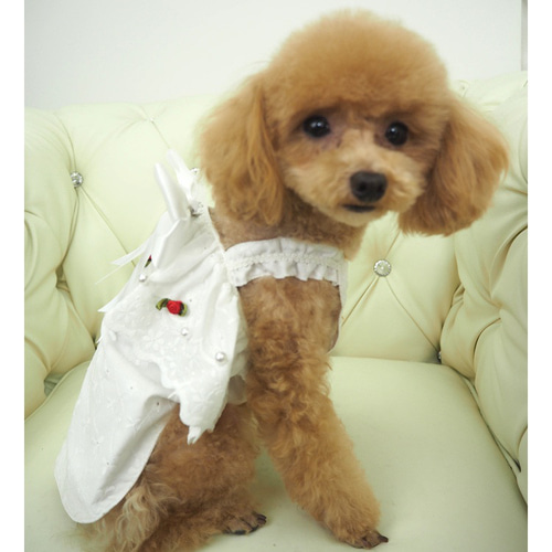 あず　ハンドメイド犬服　ネイビー&ピンクチェックのワンピース4着 20230131215320_1_1.jpg