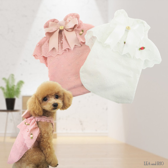 ワンピース ピンク ホワイト レース 極小犬 パピー 小型 猫 ワンピース ピンク ホワイト レース 極小犬 パピー 小型 猫