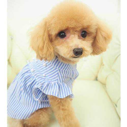 ワンピース ブルー ホワイト ストライプ 極小犬 パピー 小型 犬 ワンピース ブルー ホワイト ストライプ 極小犬 パピー 小型 犬