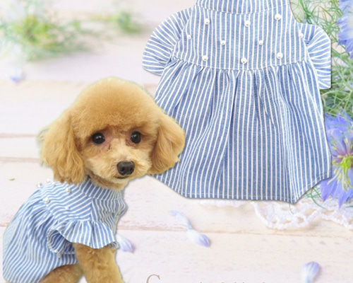 ワンピース ブルー ホワイト ストライプ 極小犬 パピー 小型 犬
