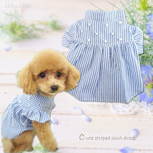 ぴぴ　犬服　ハンドメイド ワンピース ブルー 春 ストライプ 極小犬 パピー 小型 犬 猫 ペット 服