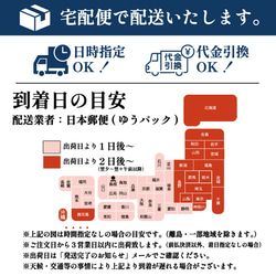 出雲そば 4人前 つゆ付き ご家庭用 風味豊か お取り寄せ グルメ 本場 本格 蕎麦 20212 14枚目の画像