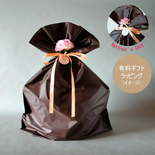 ラタン風ハンドルが主役！の丸底かごバッグMサイズ（ブラック