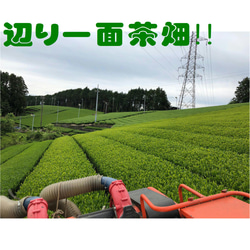 お茶農家13代の逸品深蒸し茶6点セット10ｇ×６種【新茶100％】【全国送料185円】 14枚目の画像