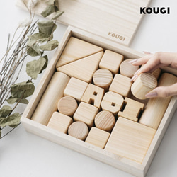 メタルインセッツのデザインみほん（両面）☆モンテッソーリ教育の言語