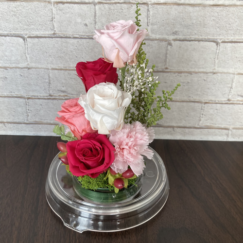 プリザーブドフラワー】ドームアレンジ ピンク プリザーブドフラワー