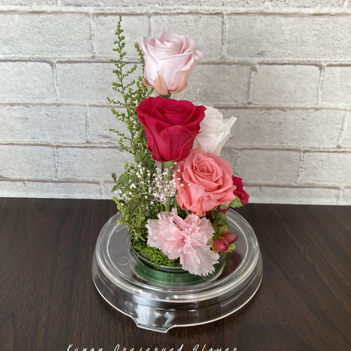 プリザーブドフラワー】ドームアレンジ ピンク プリザーブドフラワー