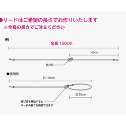 受注制作　ロープリード 8枚目の画像