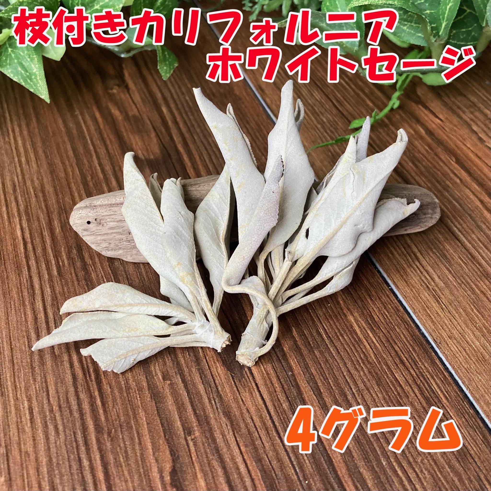 チャレンジ精神を養い前向きになる /マイカインクォーツァイト/パワーストーン チャレンジ精神を養い前向きになる /マイカインクォーツァイト