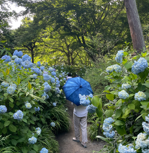 送料無料 ＜少量生産＞ 藍染 綿日傘 Rainy BLUE  雨の日も好き、そんな日傘です　絞り染め 5枚目の画像