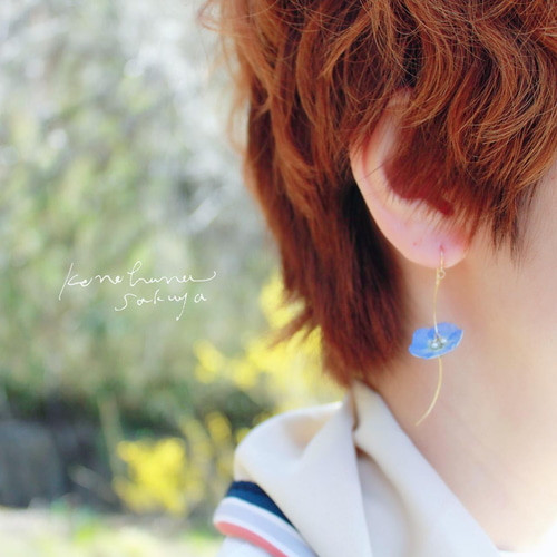 美しいネモフィラのドライフラワーピアス|イヤリング｜ギフト｜No.148