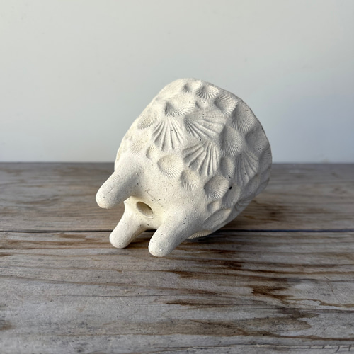 白焼締め 貝殻模様 植木鉢 お椀・ボウル・鉢 福美よう 通販 11442899