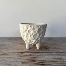 白焼締め 貝殻模様 植木鉢 お椀・ボウル・鉢 福美よう 通販 11442899