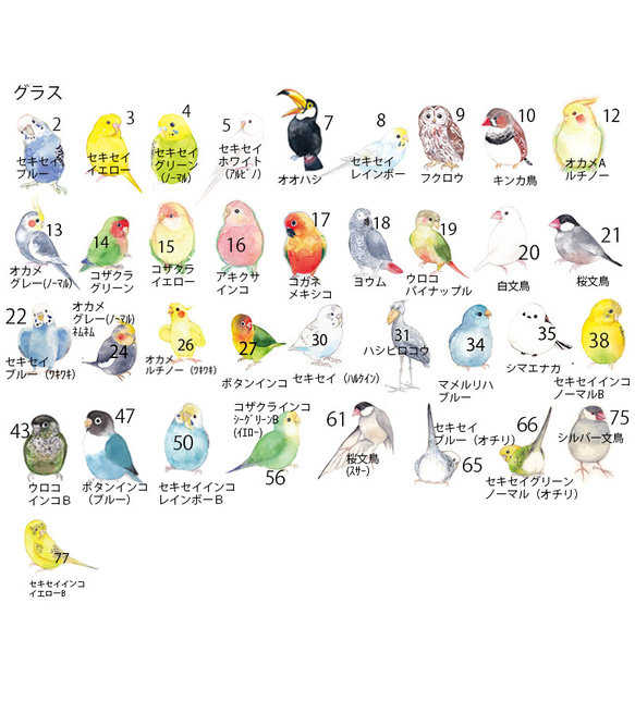 鳥のグラス（36羽の中からお好きな鳥・インコを選べます） 7枚目の画像