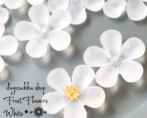 a03b3faf6a74d6dac3d346e990ffe2