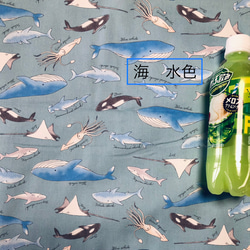 ジンベイザメの帆布バッグパック　Lサイズ　バネ口 8枚目の画像