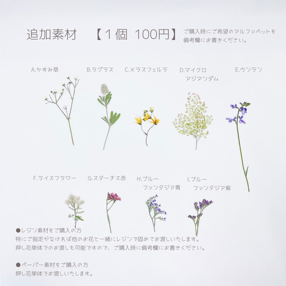 【全機種対応】春のお花の花瓶風 インナーシート 押し花 かすみ草 ミモザ iPhone Android #005 5枚目の画像