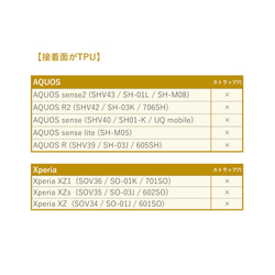  第16張的照片