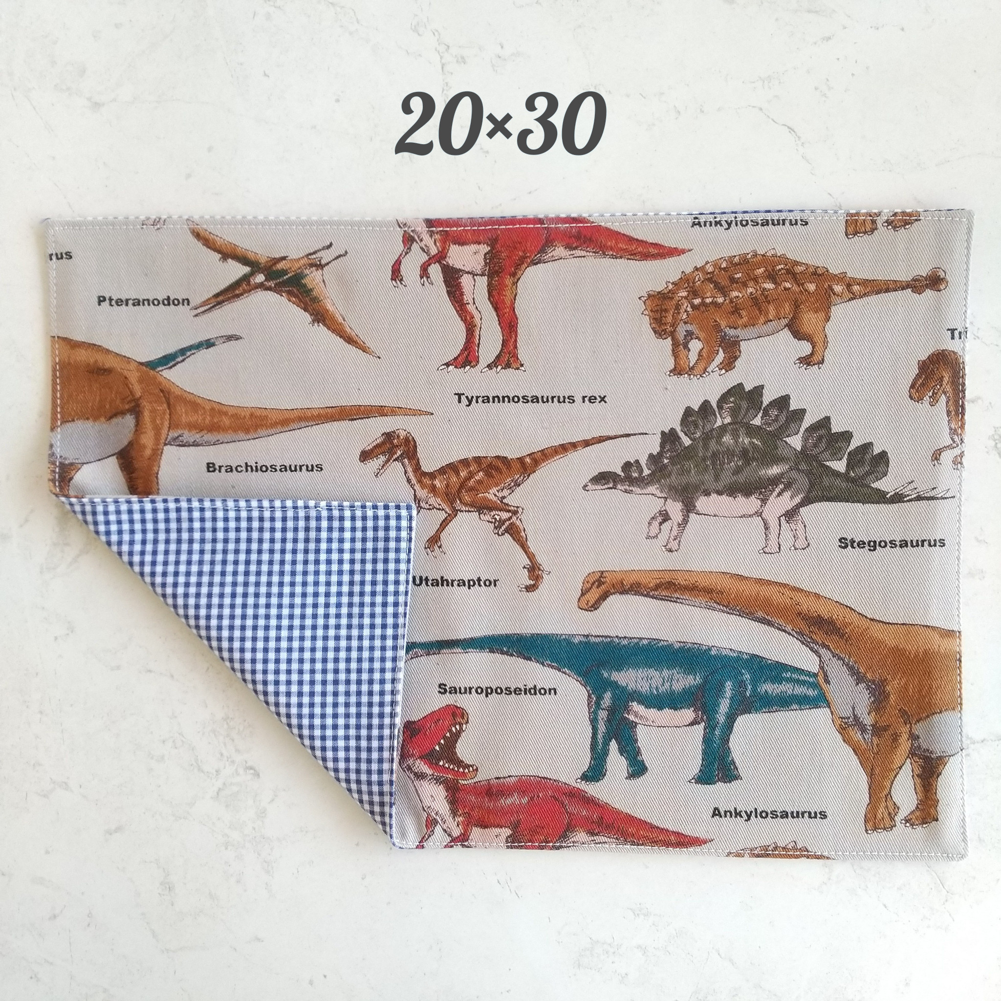 送料無料 20×30 恐竜柄 A4サイズ ランチョンマット 保育園 幼稚園