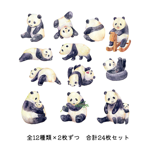 【24枚セット】子パンダの絵本風フレークシール 全12種類 2枚目の画像