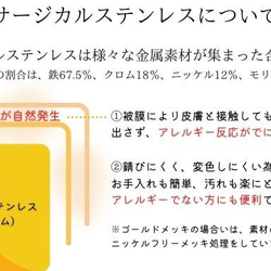 グリーンアパタイトと銀箔の鉱石ピアス　金属アレルギー　母の日　春夏　天然石　透明感　シャーベット　アクア 11枚目の画像