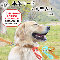 【送料無料】本革リード＜大型犬＞レザー 長さ選択可（～１３０ｃｍ）レザー 青 赤 黄 キャメル 太い 厚い 1枚目の画像