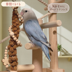 安全で安心《お花の粟穂くるくる》粟穂ホルダー＊ミレットホルダー