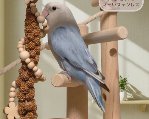 安全で安心《お花の粟穂くるくる》粟穂ホルダー＊ミレットホルダー