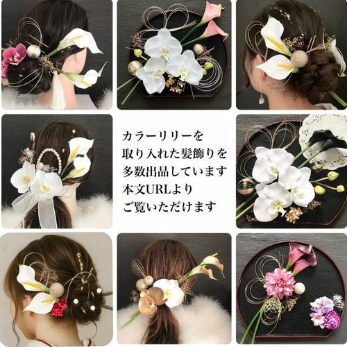 成人式 結婚式】胡蝶蘭 大輪 百合 白無垢 色打掛 卒業式 和装 洋装