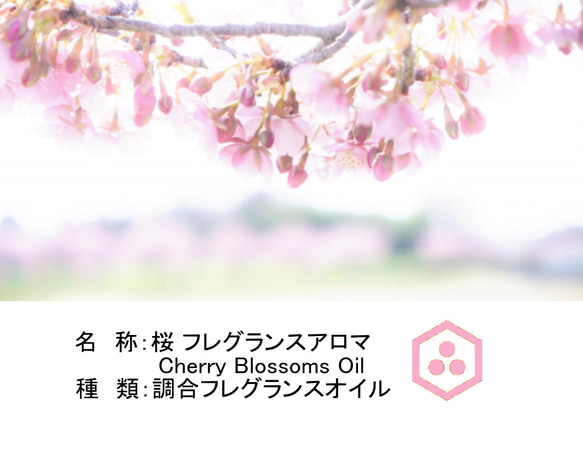 NOTO 桜オイル1０ml　優しく香るサクラの花びらの香りを忠実に再現 ナチュラルなフレグランスアロマオイル 2枚目の画像