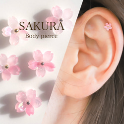 桜(さくら) ピアス(その他) の人気通販|Creema(クリーマ 桜(さくら) ピアス(その他) の人気通販|Creema(クリーマ