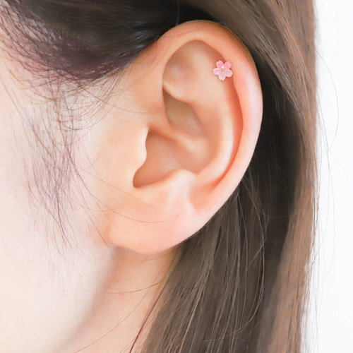 春支度 桜 サクラ ピンク ボディピアス 14G 16G 18G お花見 春