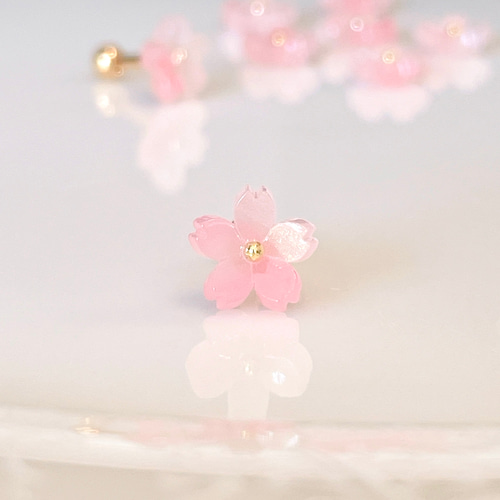 春支度 桜 サクラ ピンク ボディピアス 14G 16G 18G お花見 春