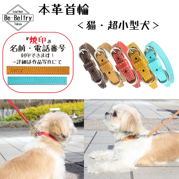 【送料無料】本革首輪〈猫・超小型犬〉レザー 幅１２ｍｍ 長さ～２４cm 青 黄 赤 キャメル チョコ 迷子 刻印 名入れ 1枚目の画像