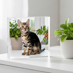 送料無料[匿名配送可]｜ オーダーメイド アクリルブロック-ペットの写真で作る オリジナル インテリア 猫 犬 3枚目の画像