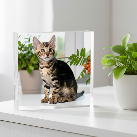送料無料[匿名配送可]｜ オーダーメイド アクリルブロック-ペットの写真で作る オリジナル インテリア 猫 犬 3枚目の画像