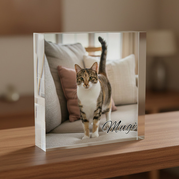 送料無料[匿名配送可]｜ オーダーメイド アクリルブロック-ペットの写真で作る オリジナル インテリア 猫 犬 4枚目の画像
