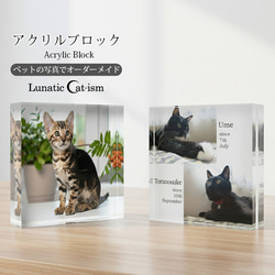 送料無料[匿名配送可]｜ オーダーメイド アクリルブロック-ペットの写真で作る オリジナル インテリア 猫 犬 1枚目の画像