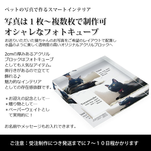 送料無料[匿名配送可]｜ オーダーメイド アクリルブロック-ペットの写真で作る オリジナル インテリア 猫 犬 2枚目の画像