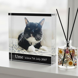 送料無料[匿名配送可]｜ オーダーメイド アクリルブロック-ペットの写真で作る オリジナル インテリア 猫 犬 5枚目の画像