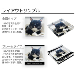 送料無料[匿名配送可]｜ オーダーメイド アクリルブロック-ペットの写真で作る オリジナル インテリア 猫 犬 7枚目の画像