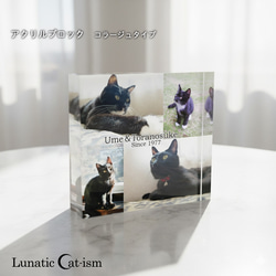 送料無料[匿名配送可]｜ オーダーメイド アクリルブロック-ペットの写真で作る オリジナル インテリア 猫 犬 6枚目の画像