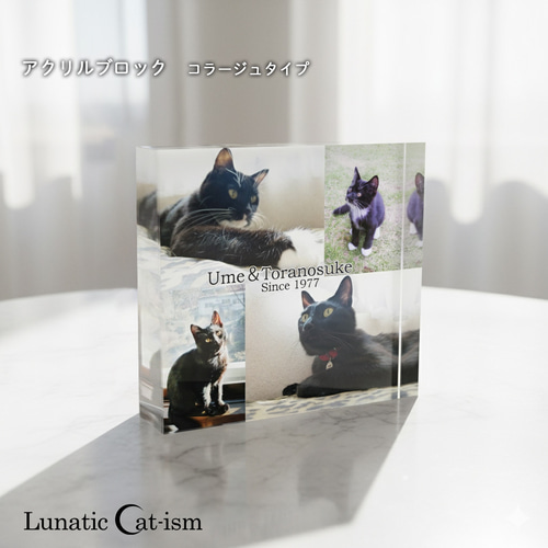 送料無料[匿名配送可]｜ オーダーメイド アクリルブロック-ペットの