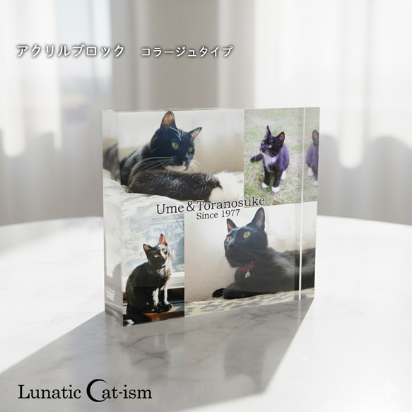 送料無料[匿名配送可]｜ オーダーメイド アクリルブロック-ペットの写真で作る オリジナル インテリア 猫 犬 6枚目の画像