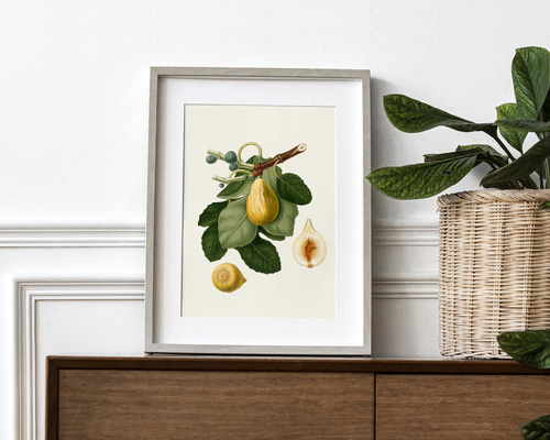 df44e9b710d3d4f9f10068ef3ca6d7