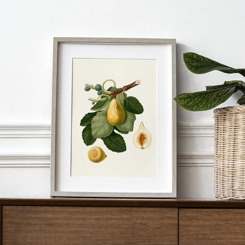 NO.68】イチジク無花果アートポスター☆ナチュラルインテリア