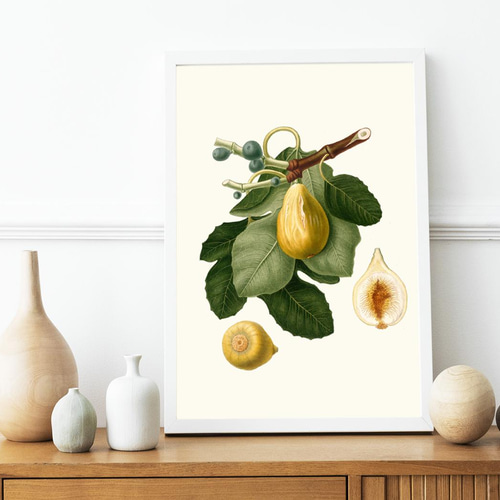 NO.68】イチジク無花果アートポスター☆ナチュラルインテリア